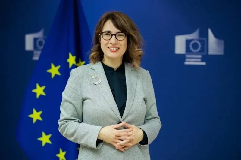 ЕС поддерживает Армению на фоне давления перед выборами в Арагацотнской области