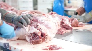Компания «Атенк» из Арагацотна расширяет производство и экспорт мясной продукции