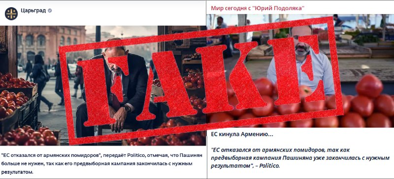 Помидоры на поле в Арагацотнской области Армении