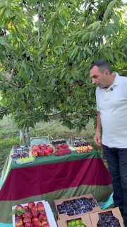 Первая партия армянских фруктов из Арагацотна отправлена в ОАЭ