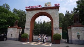 Животные из особняка Царукяна в карантинной зоне Ереванского зоопарка, Арагацотн