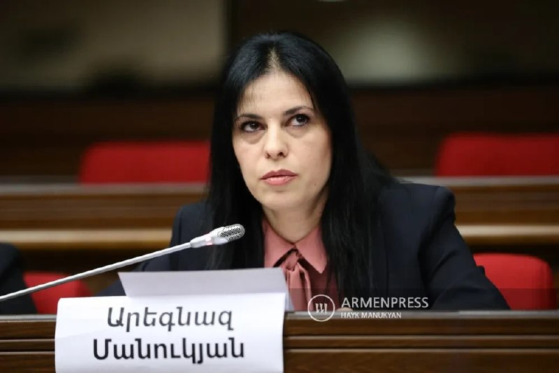 В Армении арестована член правления партии «Мать Армения» Арегназ Манукян — что известно о деле